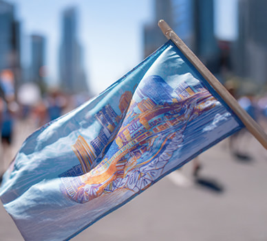 Custom Fabric Flag - Mini Flag - Davis Materialworks