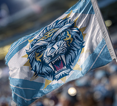 Custom Fabric Flag - Davis Materialworks